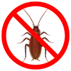 Cockroach Control Berwick
